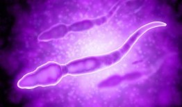 巨型精子电影在线观看,一场惊心动魄的奇幻之旅